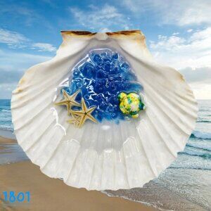 Seashell Trinket Dish # 1801
